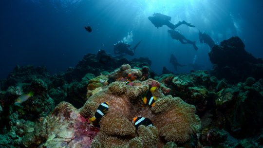Koh Lanta scuba diver Thailand
