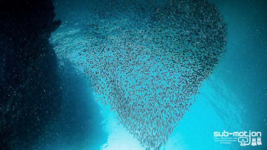 Koh Haa dive site amazing koh lanta thailand