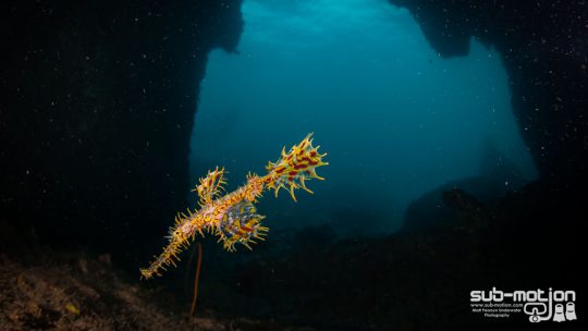 Koh Haa dive site amazing koh lanta thailand