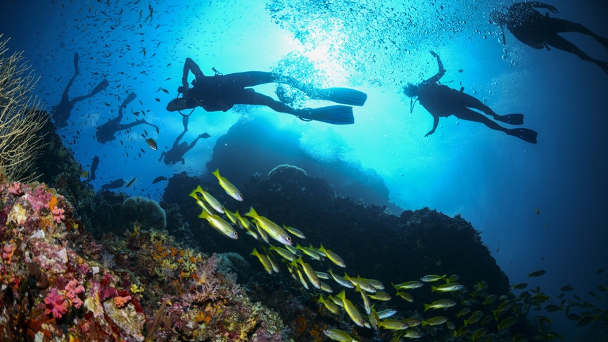 Koh Lanta diving courses, best scuba in Thailand