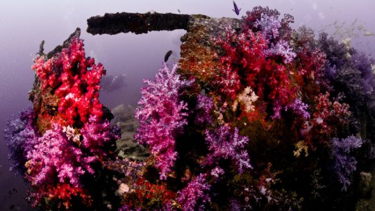 King Cruiser Wreck Site scuba diving koh lanta Thailand