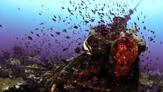 King Cruiser Wreck Site scuba diving koh lanta Thailand