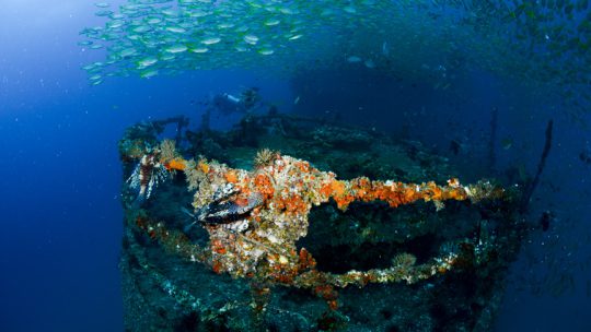 Kled Geaw Wreck Site scuba diving Koh Lanta Thailand
