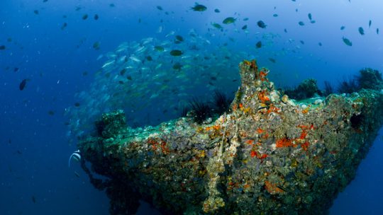 Kled Geaw Wreck Site scuba diving Koh Lanta Thailand