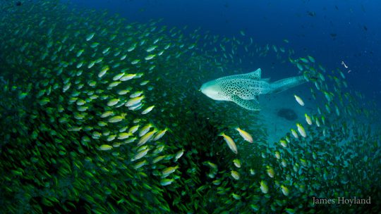 Koh Bida's Islands, great local sites from Koh Lanta Thailand