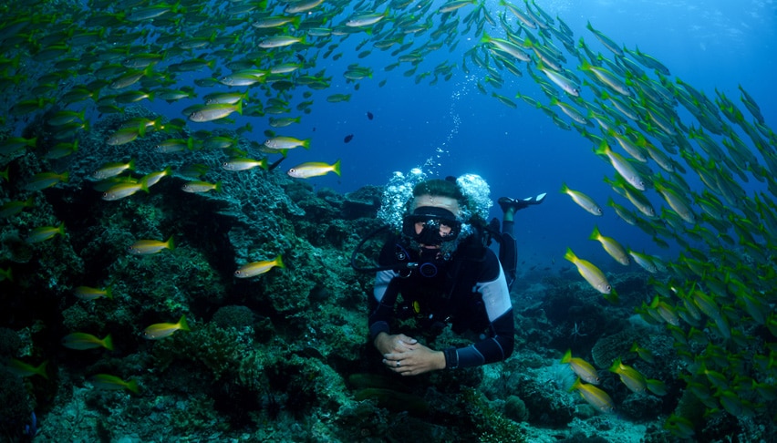Koh Lanta diving courses, best scuba in Thailand