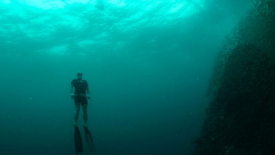 AIDA2 freediving course in Koh Lanta Thailand