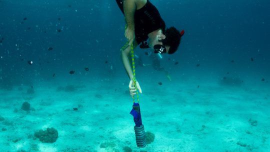 AIDA2 freediving course in Koh Lanta Thailand