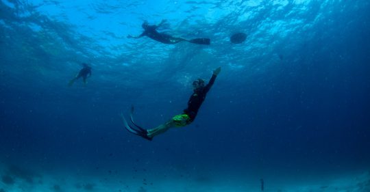 Koh Lanta discover freediving depth in Thailand
