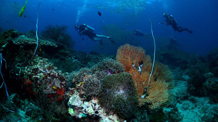 Koh Lanta family trip, friendly day with activity for all