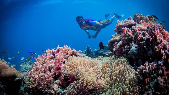 Snorkeling Koh Lanta in the best sites of Thailand