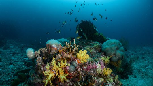 Bubblemaker jeune plongeur, cours petit bulleur, koh lanta, thailande