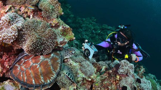 Cours d'instructeur pro PADI a Koh Lanta, en Thaîlande