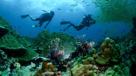 Plongez sur les îles Koh Bidas à Koh Lanta en Thaîlande