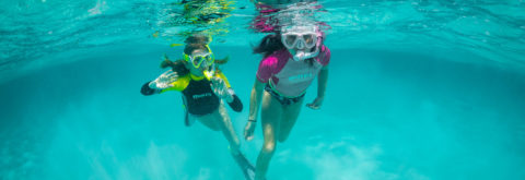 Take your family for Snorkeling