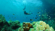 Koh Lanta freediving center, best apnea courses in Thailand