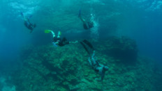 Koh Lanta freediving center, best apnea courses in Thailand