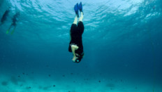 Freediving culture Koh Lanta, Learn AIDA apnea in Thailand