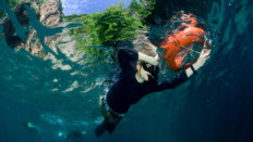 Freediving culture Koh Lanta, Learn AIDA apnea in Thailand