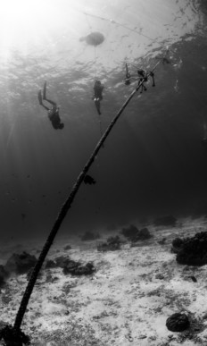 Freediving culture Koh Lanta, Learn AIDA apnea in Thailand